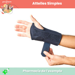 Vente, location et pose d’Attelles
