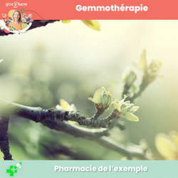 Gemmothérapie