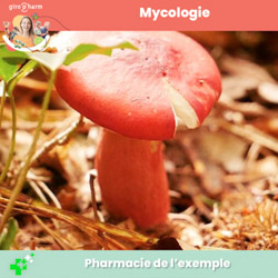 Mycologie